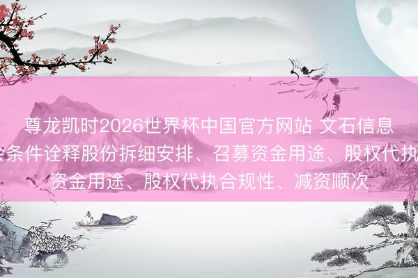 尊龙凯时2026世界杯中国官方网站 文石信息拟境外上市 证监会条件诠释股份拆细安排、召募资金用途、股权代执合规性、减资顺次