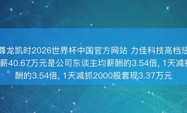 尊龙凯时2026世界杯中国官方网站 力佳科技高档惩办东谈