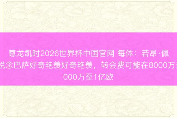 尊龙凯时2026世界杯中国官网 每体:若昂·佩德罗知说念巴萨好奇艳羡好奇艳羡,转会费可能在8000万至1亿欧
