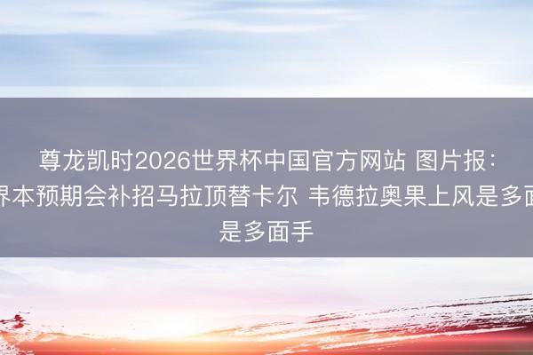 尊龙凯时2026世界杯中国官方网站 图片报：外界本预期会补招马拉顶替卡尔 韦德拉奥果上风是多面手