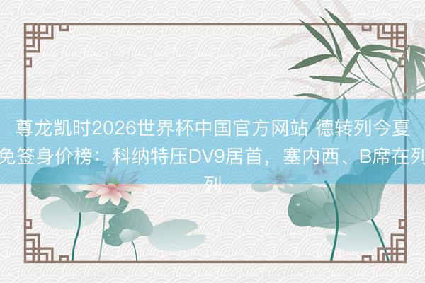 尊龙凯时2026世界杯中国官方网站 德转列今夏免签身价榜：科纳特压DV9居首，塞内西、B席在列
