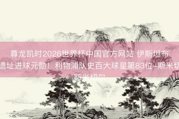 尊龙凯时2026世界杯中国官方网站 伊斯坦布尔遗址进球元勋！利物浦队史百大球星第83位-斯米切尔