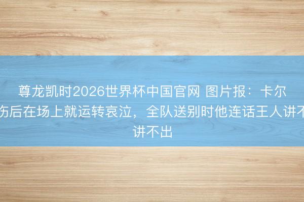 尊龙凯时2026世界杯中国官网 图片报：卡尔受伤后在场上就运转哀泣，全队送别时他连话王人讲不出