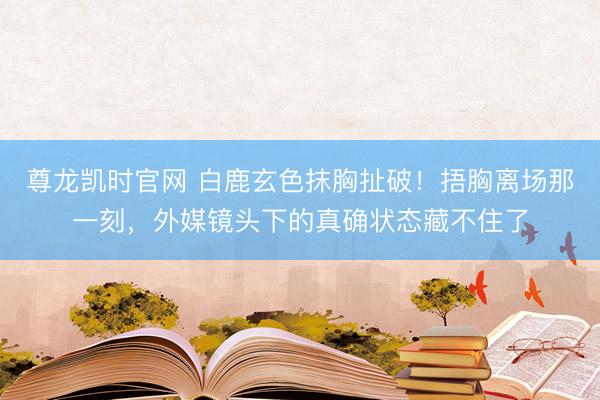尊龙凯时官网 白鹿玄色抹胸扯破！捂胸离场那一刻，外媒镜头下的真确状态藏不住了