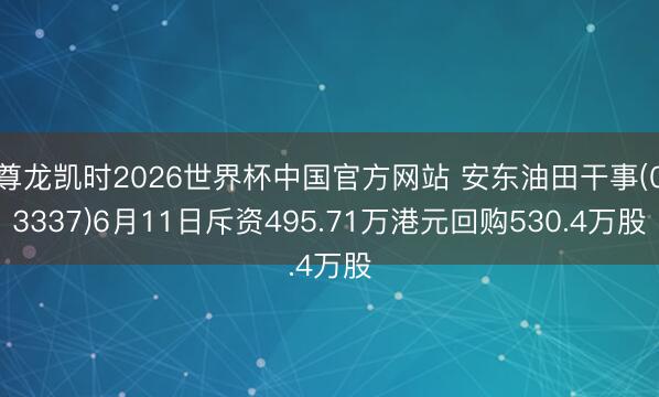 尊龙凯时2026世界杯中国官方网站 安东油田干事(03337)6月11日斥资495.71万港元回购530.4万股
