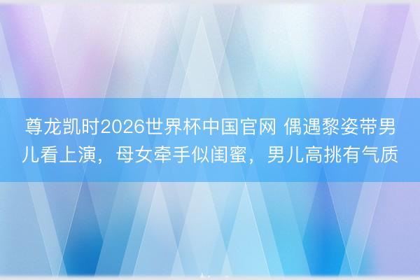 尊龙凯时2026世界杯中国官网 偶遇黎姿带男儿看上演，母女牵手似闺蜜，男儿高挑有气质