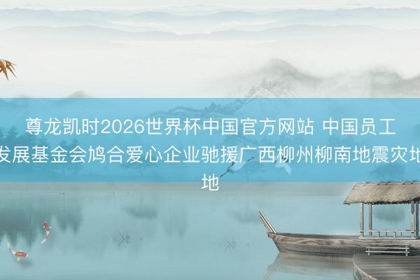 尊龙凯时2026世界杯中国官方网站 中国员工发展基金会鸠合爱心企业驰援广西柳州柳南地震灾地