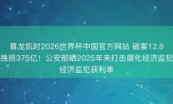 尊龙凯时2026世界杯中国官方网站 破案12.8万起！挽损375亿！公安部晒2025年来打击腐化经济监犯获利单