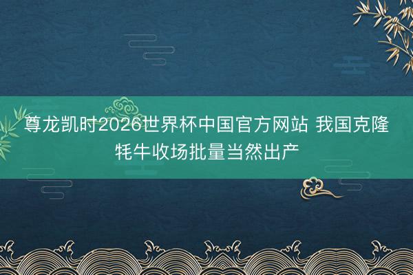 尊龙凯时2026世界杯中国官方网站 我国克隆牦牛收场批量当然出产