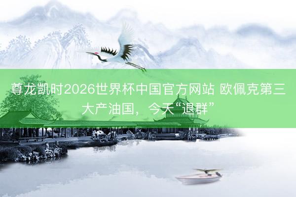 尊龙凯时2026世界杯中国官方网站 欧佩克第三大产油国，今天“退群”