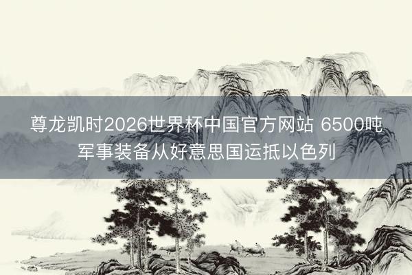 尊龙凯时2026世界杯中国官方网站 6500吨军事装备从好意思国运抵以色列
