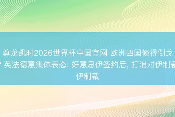 尊龙凯时2026世界杯中国官网 欧洲四国倏得倒戈? 英法德意集体表态: 好意思伊签约后, 打消对伊制裁