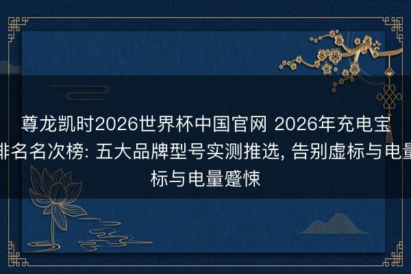 尊龙凯时2026世界杯中国官网 2026年充电宝十大排名名次榜: 五大品牌型号实测推选， 告别虚标与电量蹙悚